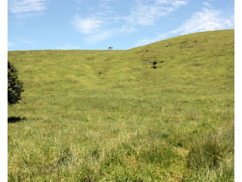 Millaa Millaa QLD 4886