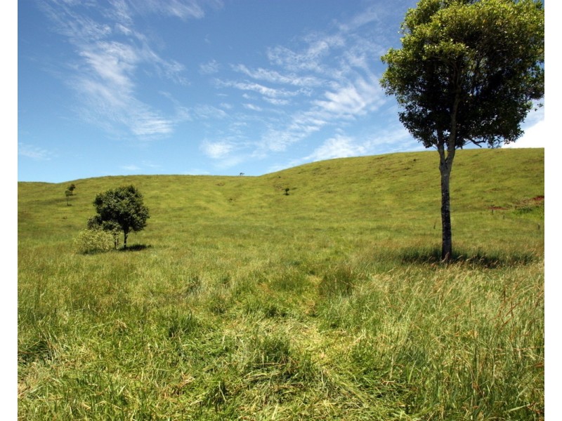 Millaa Millaa QLD 4886