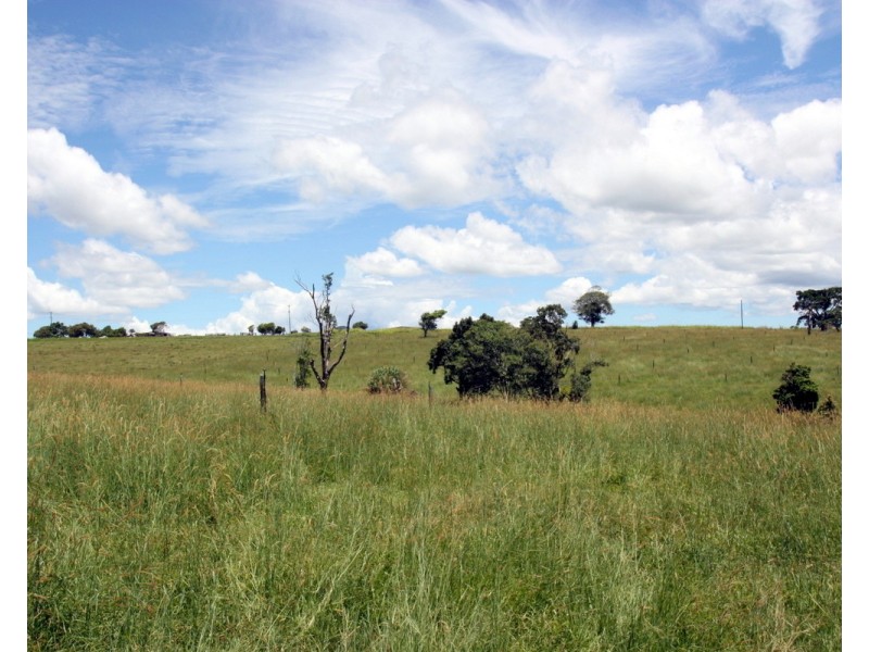 Millaa Millaa QLD 4886