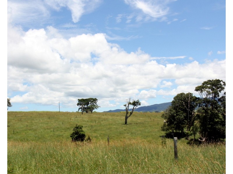 Millaa Millaa QLD 4886