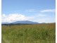 Millaa Millaa QLD 4886