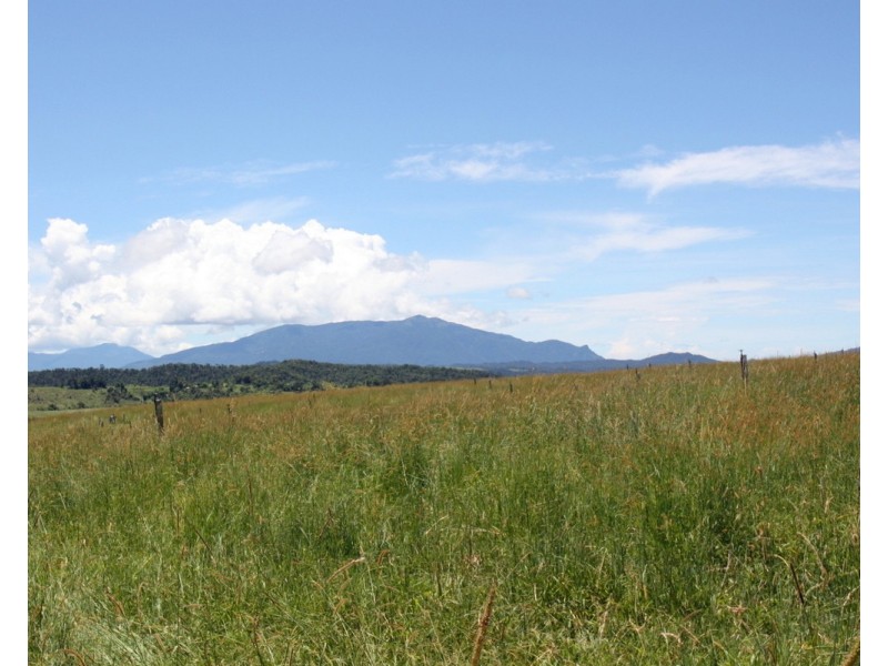 Millaa Millaa QLD 4886