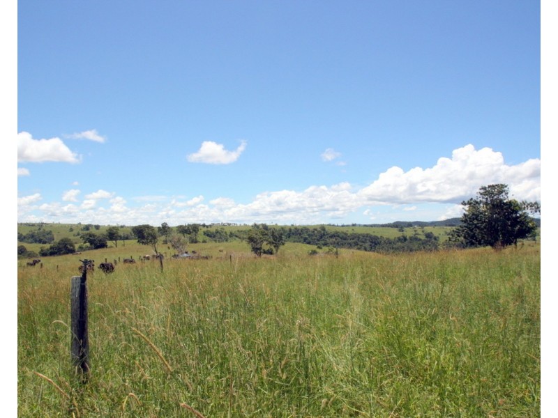 Millaa Millaa QLD 4886