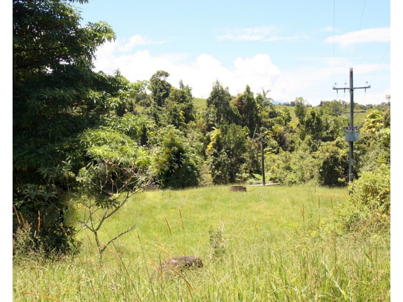 Millaa Millaa QLD 4886