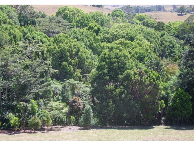 Tarzali QLD 4885