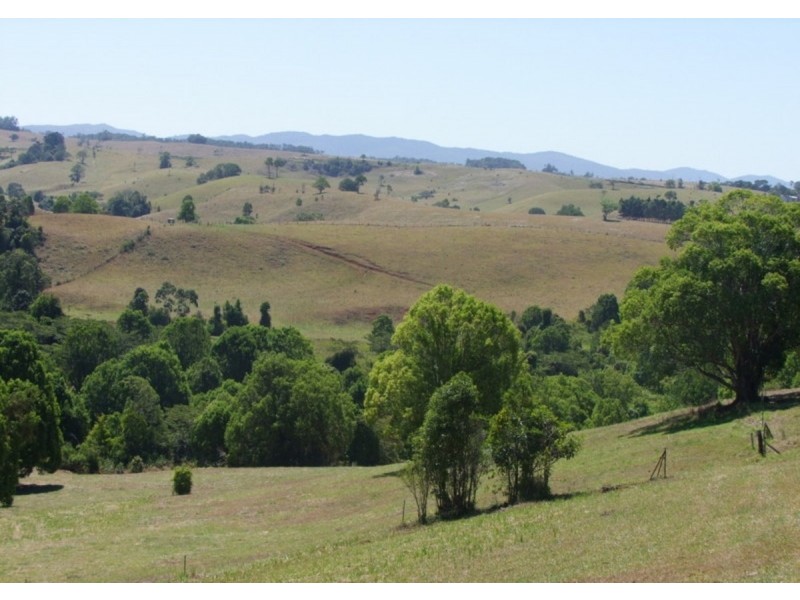 Tarzali QLD 4885
