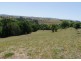 Tarzali QLD 4885