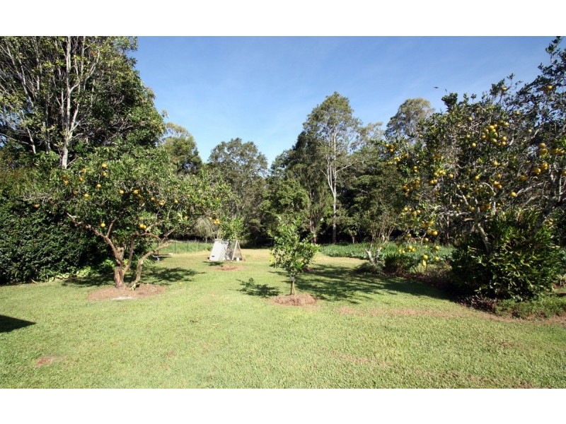 Yungaburra QLD 4884