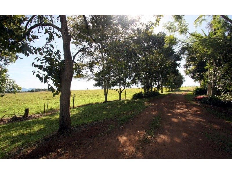 Yungaburra QLD 4884