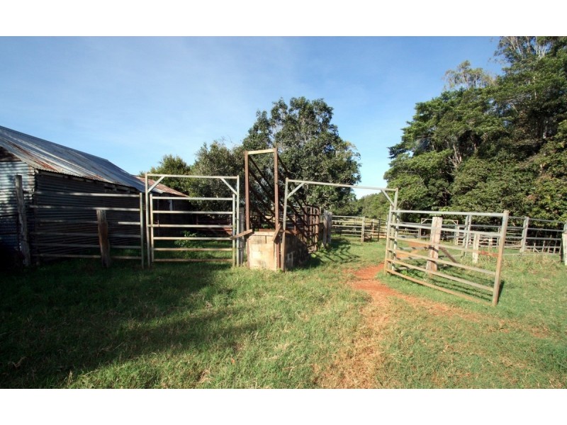 Yungaburra QLD 4884
