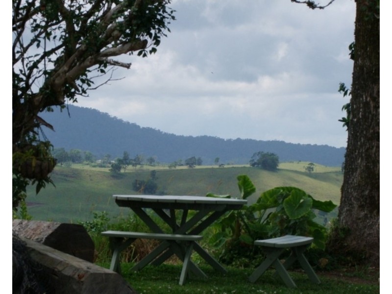 Millaa Millaa QLD 4886
