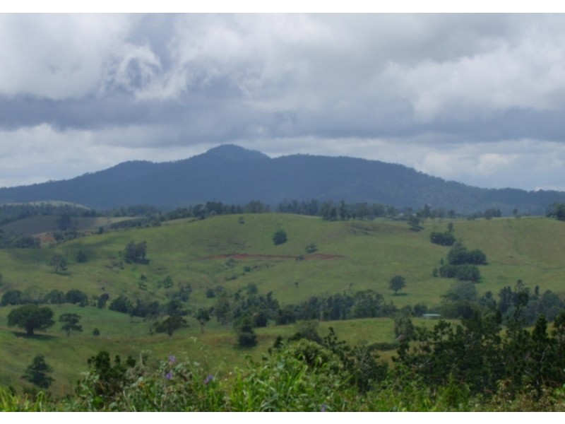 Millaa Millaa QLD 4886