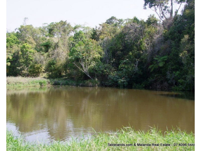 Millaa Millaa QLD 4886