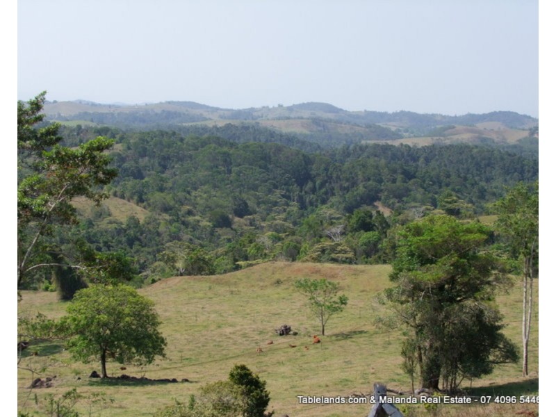 Millaa Millaa QLD 4886