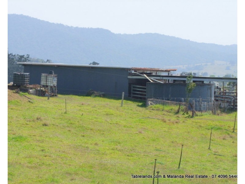 Millaa Millaa QLD 4886