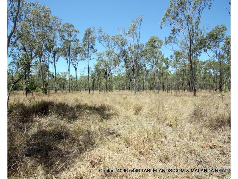 L1311 Lot 24 Jacaranda Drive, Millstream QLD 4888