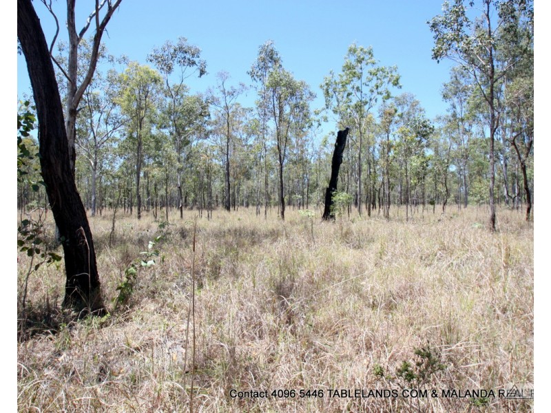 L1311 Lot 24 Jacaranda Drive, Millstream QLD 4888