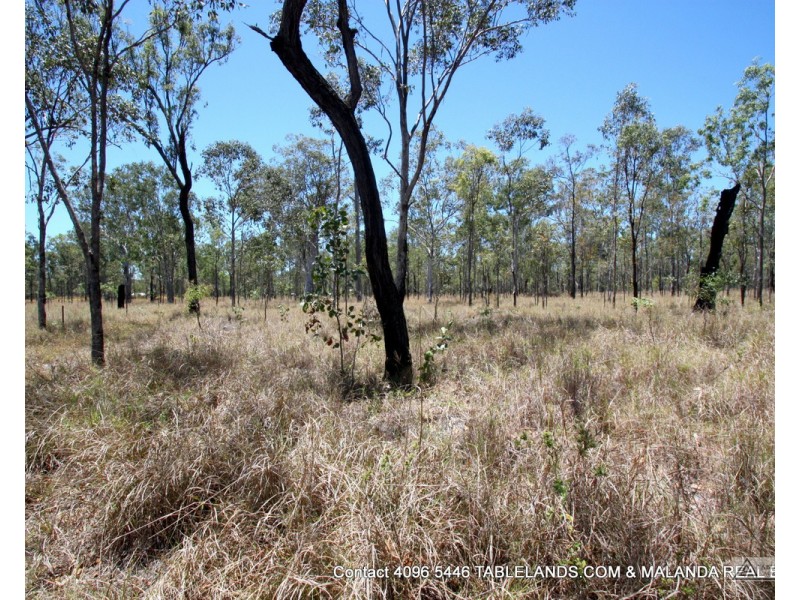 L1311 Lot 24 Jacaranda Drive, Millstream QLD 4888