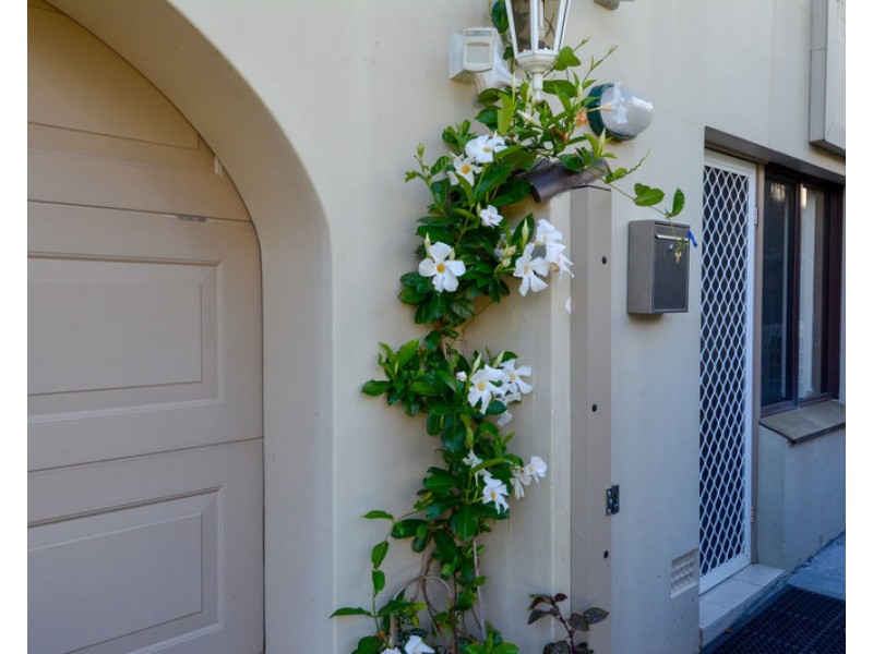 72b Cleveland Avenue, Cromer NSW 2099