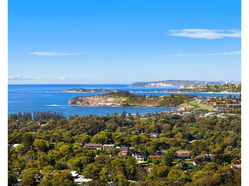 38 Cheryl Crescent, Newport NSW 2106