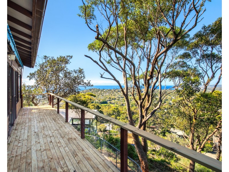 38 Cheryl Crescent, Newport NSW 2106