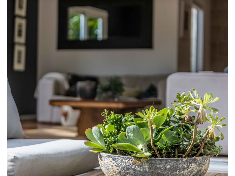 2 Melaleuca Street, Newport NSW 2106