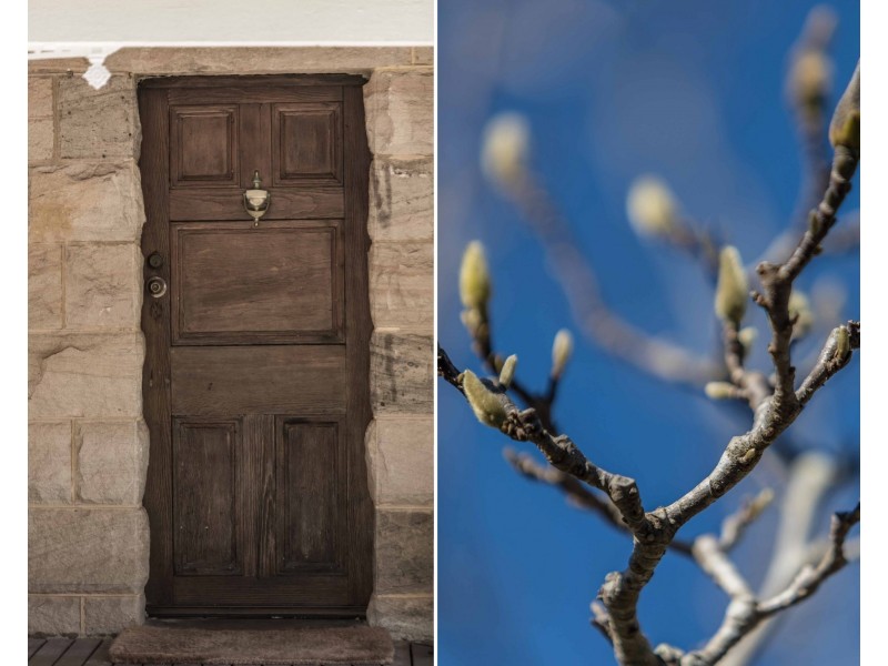 2 Melaleuca Street, Newport NSW 2106