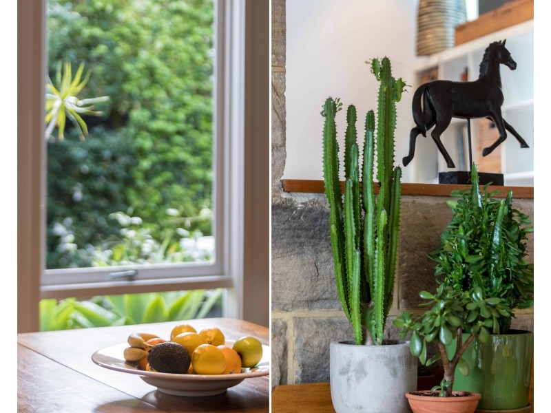 2 Melaleuca Street, Newport NSW 2106