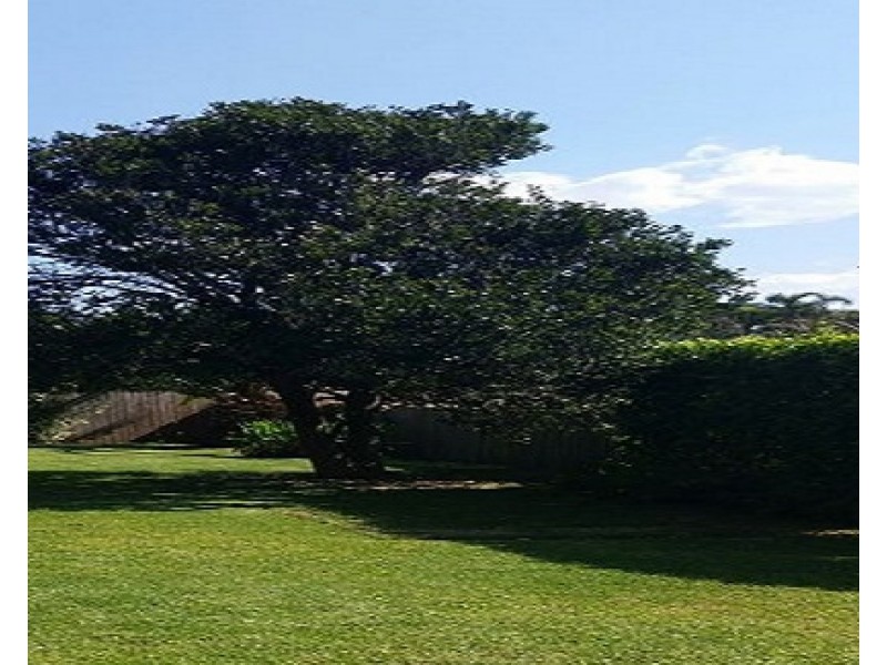 29 The Boulevarde, Newport NSW 2106