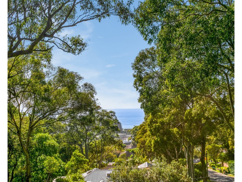 2A Goodwin Road, Newport NSW 2106