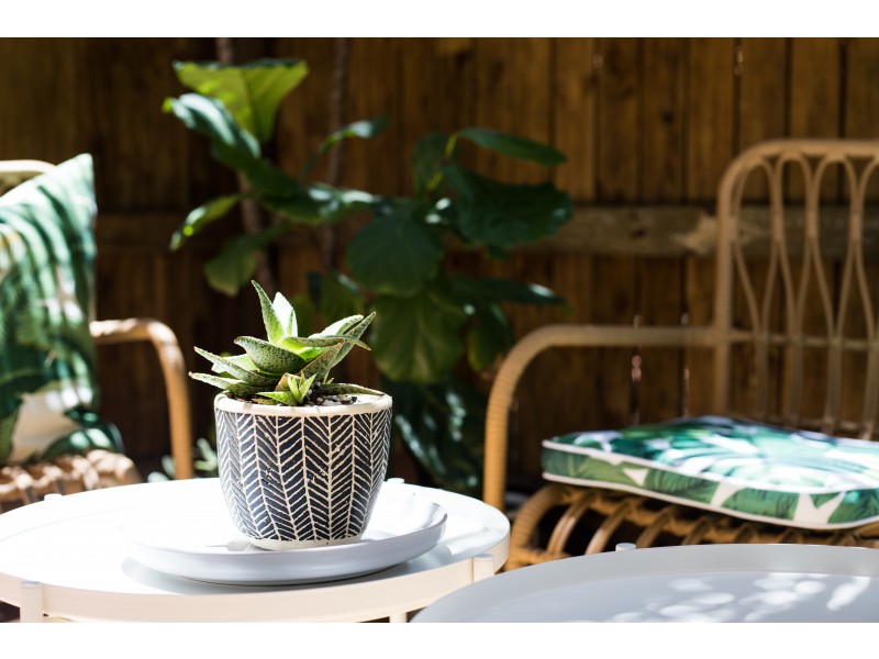 219 Wellington Road, East Brisbane QLD 4169