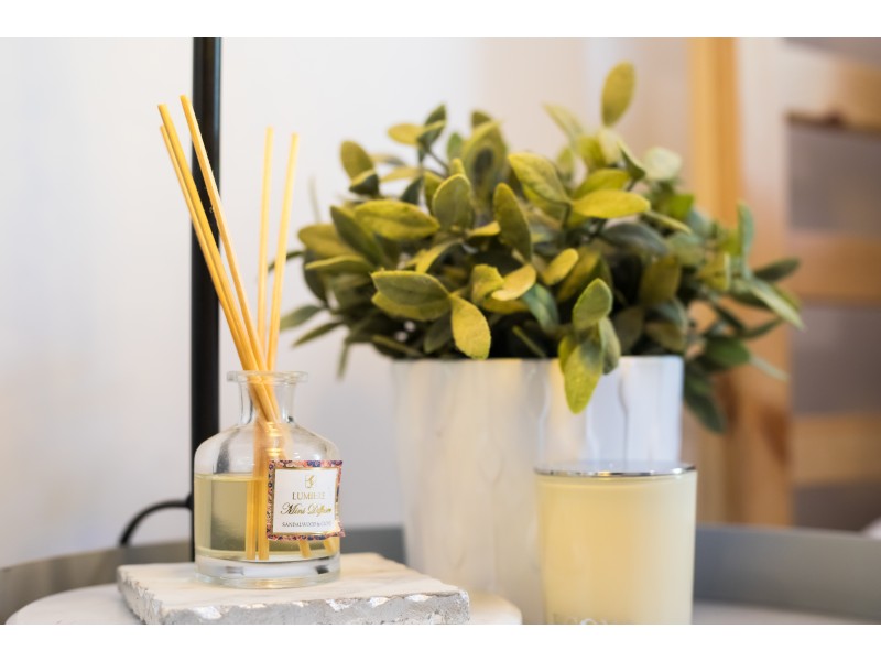 219 Wellington Road, East Brisbane QLD 4169