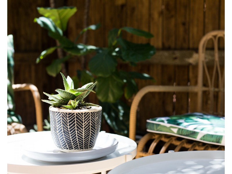 219 Wellington Road, East Brisbane QLD 4169