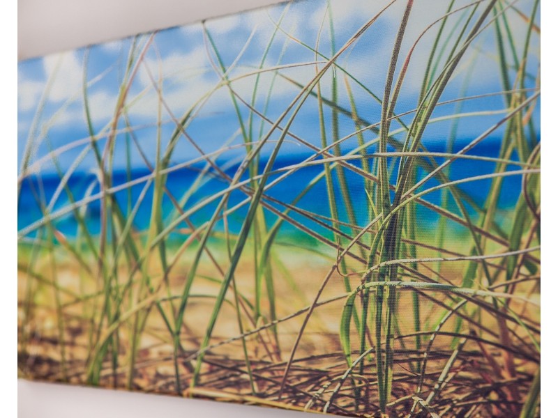 104/311 Vulture Street, South Brisbane QLD 4101