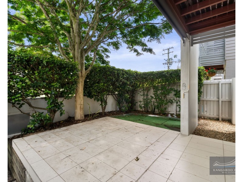 3/125 Bulimba Street, Bulimba QLD 4171