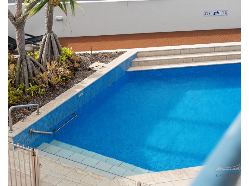 19/42 Ferry Street, Kangaroo Point QLD 4169