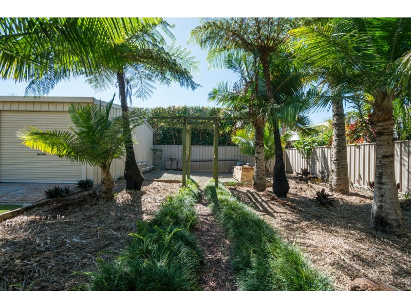 8 Woodward Street, Grafton NSW 2460