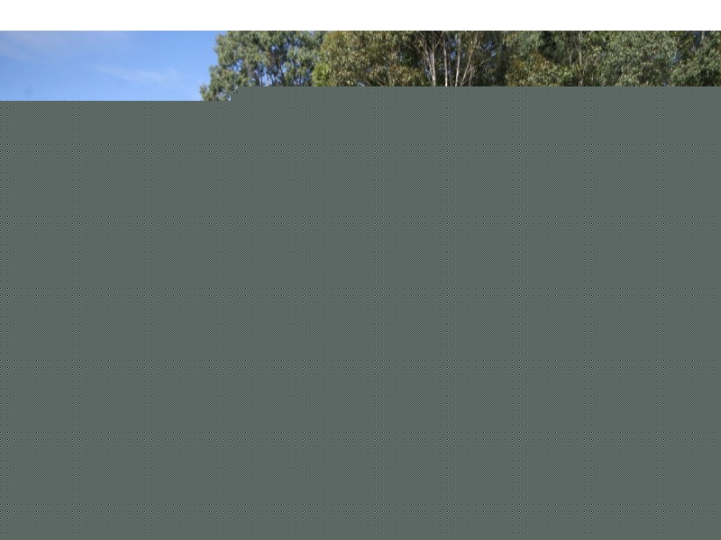 44 Ellandgrove Road, Elland NSW 2460