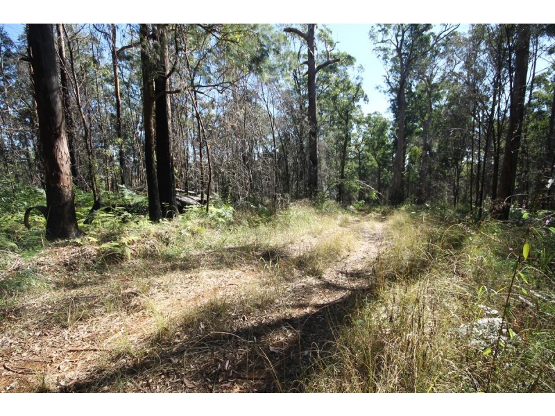 1015 Grange Access Road, Jackadgery NSW 2460