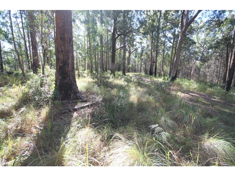 1015 Grange Access Road, Jackadgery NSW 2460