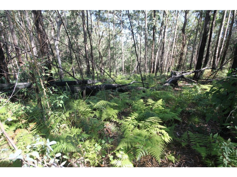 1015 Grange Access Road, Jackadgery NSW 2460