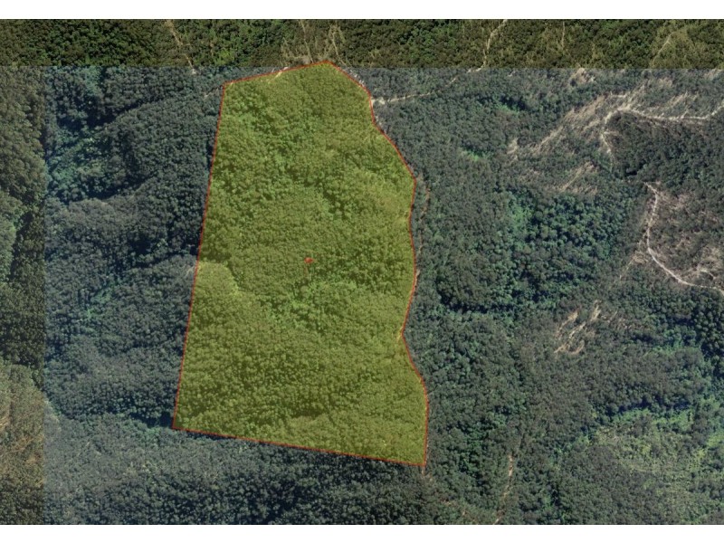 1015 Grange Access Road, Jackadgery NSW 2460