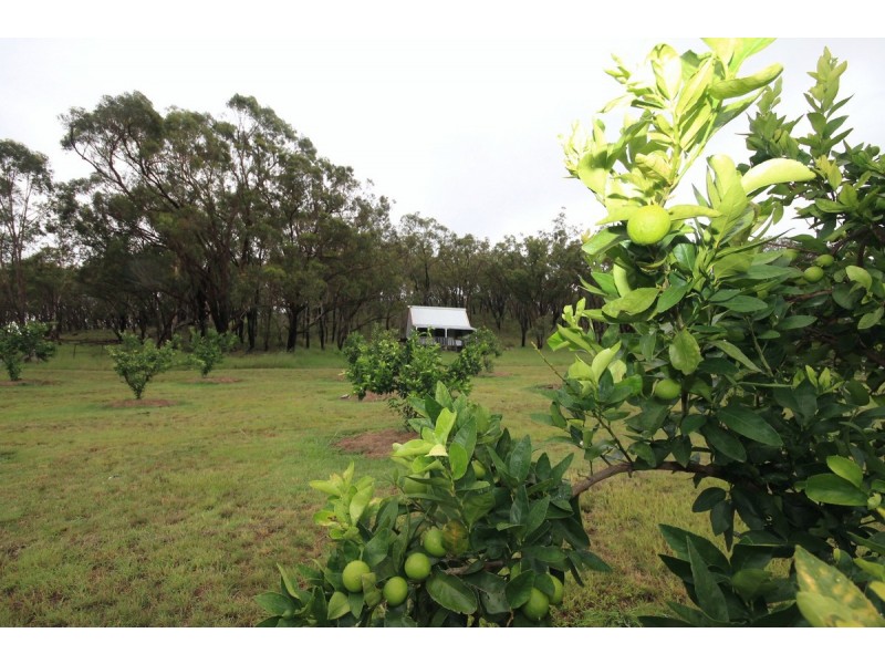 436 Carnham Road, Fine Flower NSW 2460