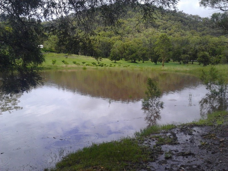 436 Carnham Road, Fine Flower NSW 2460