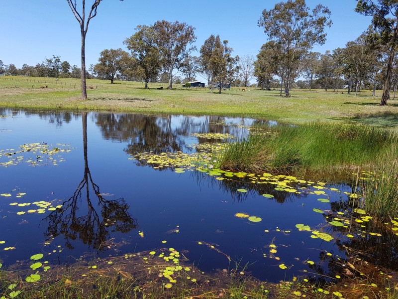 2766 Summerland Way, Dilkoon NSW 2460