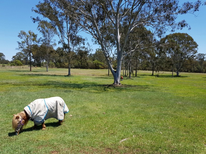 2766 Summerland Way, Dilkoon NSW 2460