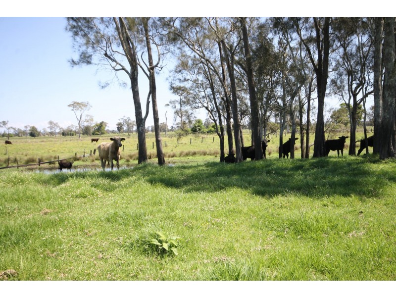 1132 Lower Coldstream Road, Calliope NSW 2462