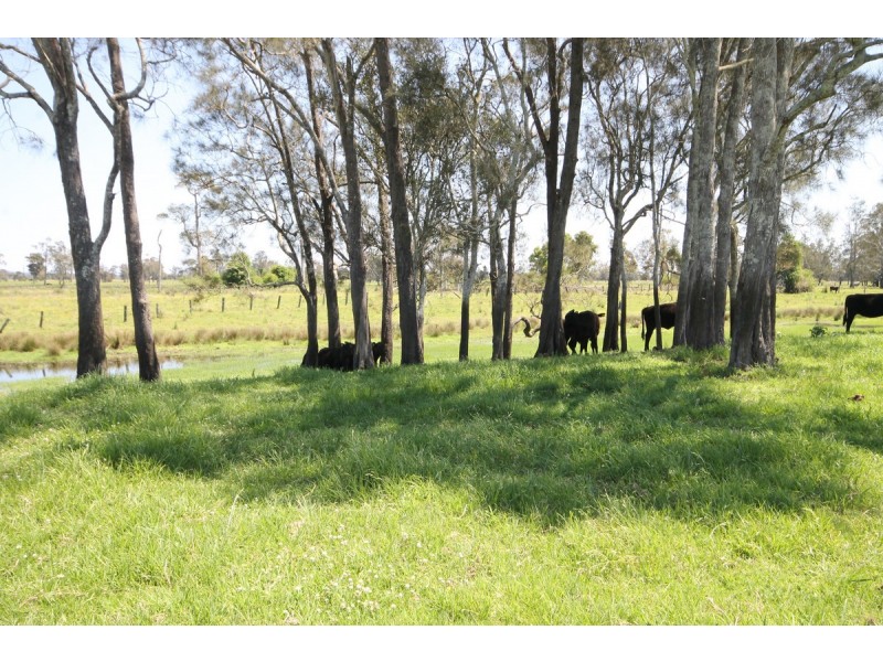 1132 Lower Coldstream Road, Calliope NSW 2462