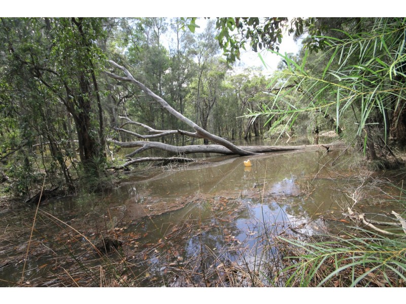 649 Parker Road, Lanitza NSW 2460