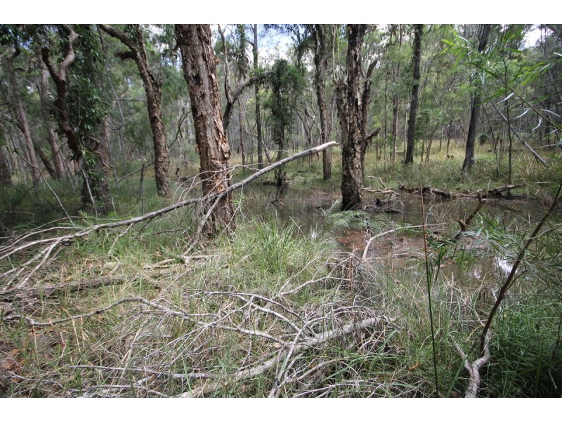 649 Parker Road, Lanitza NSW 2460